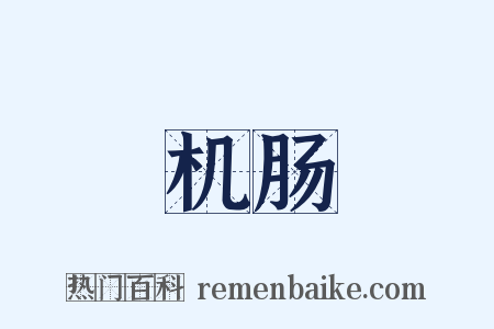 机肠是什么意思的图片